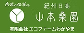 山本桑園
